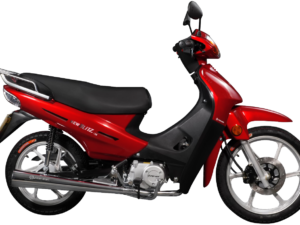 PW-NEW BLITZ-135